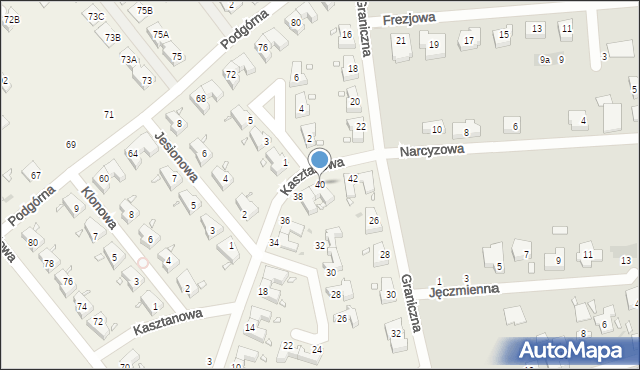 Wiry, Kasztanowa, 40, mapa Wiry