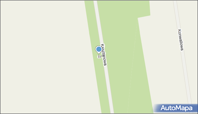 Własna, Kasztanowa, 33, mapa Własna
