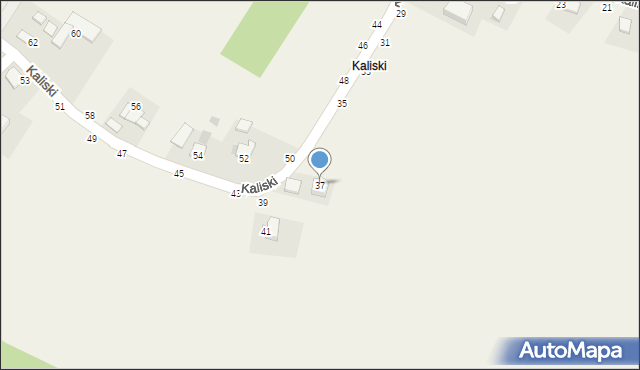 Wola Kalinowska, Kaliski, 37, mapa Wola Kalinowska