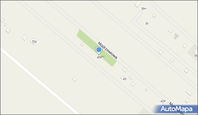 Kępa Niemojewska, Kępa Niemojewska, 40m, mapa Kępa Niemojewska