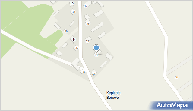 Kępiste-Borowe, Kępiste-Borowe, 31, mapa Kępiste-Borowe