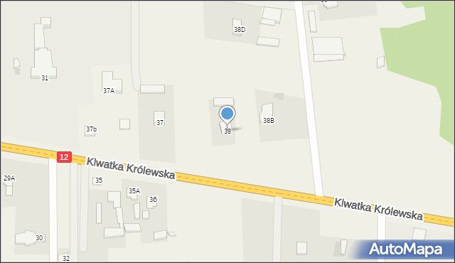 Klwatka Królewska, Klwatka Królewska, 38, mapa Klwatka Królewska