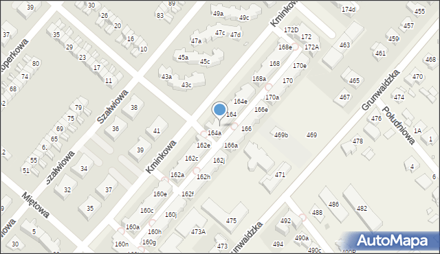 Plewiska, Kminkowa, 164b, mapa Plewiska