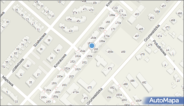 Plewiska, Kminkowa, 166b, mapa Plewiska