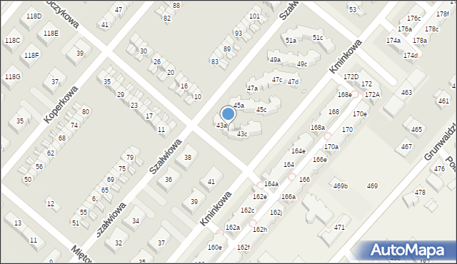 Plewiska, Kminkowa, 43b, mapa Plewiska