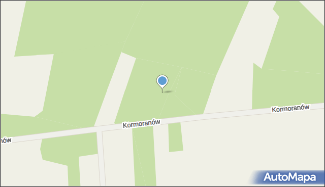 Boryszew, Kormoranów, 19, mapa Boryszew