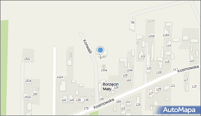 Borzęcin Duży, Konwalii, 4, mapa Borzęcin Duży
