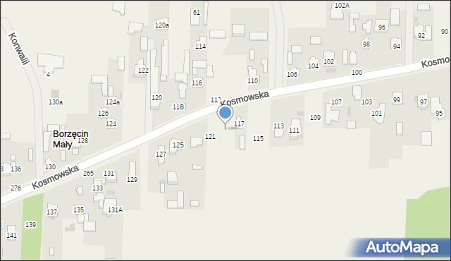 Borzęcin Duży, Kosmowska, 119, mapa Borzęcin Duży