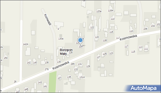 Borzęcin Duży, Kosmowska, 124, mapa Borzęcin Duży