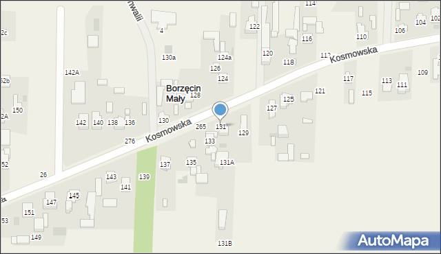 Borzęcin Duży, Kosmowska, 131, mapa Borzęcin Duży