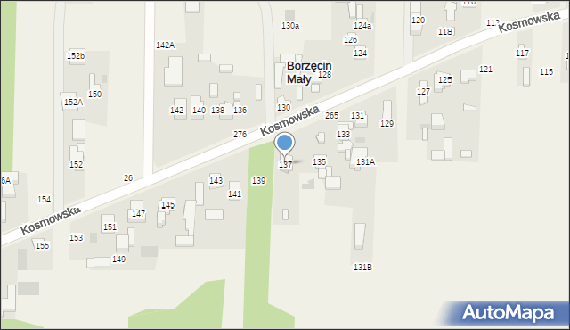 Borzęcin Duży, Kosmowska, 137, mapa Borzęcin Duży