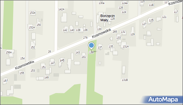 Borzęcin Duży, Kosmowska, 139, mapa Borzęcin Duży