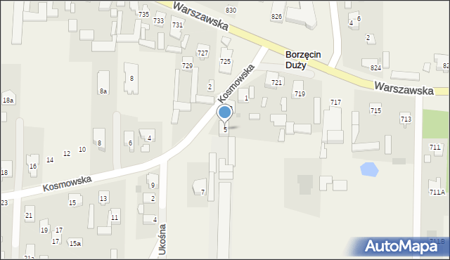 Borzęcin Duży, Kosmowska, 5, mapa Borzęcin Duży