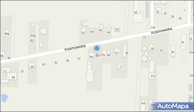 Borzęcin Duży, Kosmowska, 53, mapa Borzęcin Duży