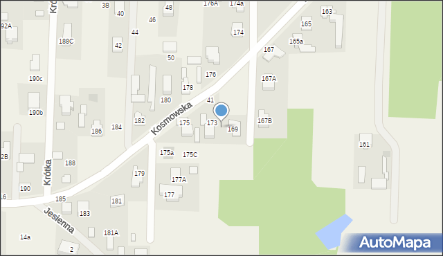 Borzęcin Mały, Kosmowska, 171, mapa Borzęcin Mały