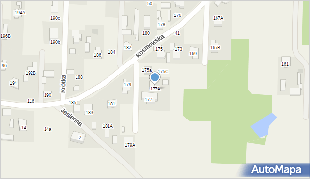 Borzęcin Mały, Kosmowska, 177A, mapa Borzęcin Mały