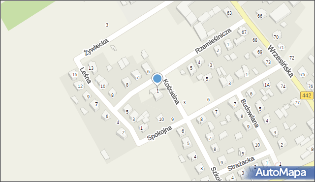 Borzykowo, Kościelna, 1, mapa Borzykowo