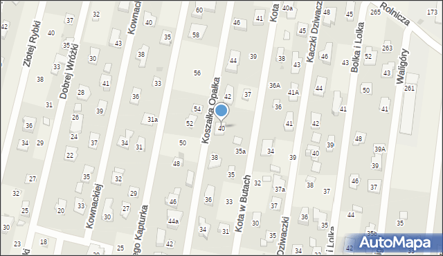 Dziekanów Leśny, Koszałka Opałka, 40, mapa Dziekanów Leśny