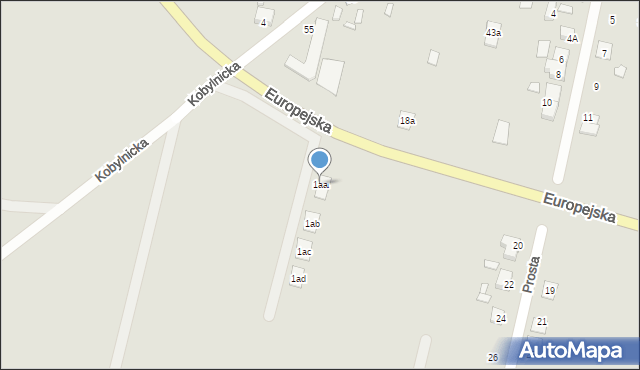 Grodzisk Wielkopolski, Kobylnicka, 1aa, mapa Grodzisk Wielkopolski