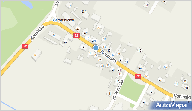 Grzymiszew, Konińska, 22, mapa Grzymiszew