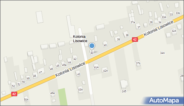 Kolonia Lisowice, Kolonia Lisowice, 41, mapa Kolonia Lisowice