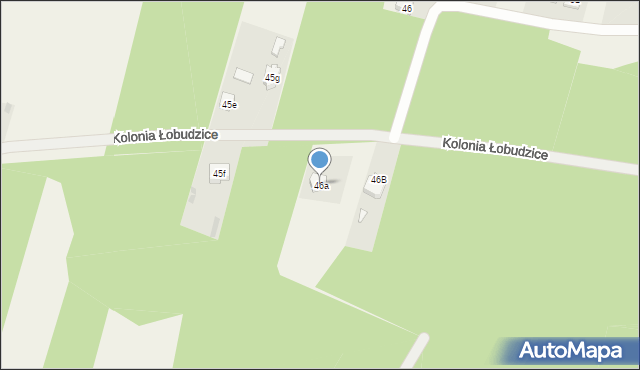 Kolonia Łobudzice, Kolonia Łobudzice, 46a, mapa Kolonia Łobudzice