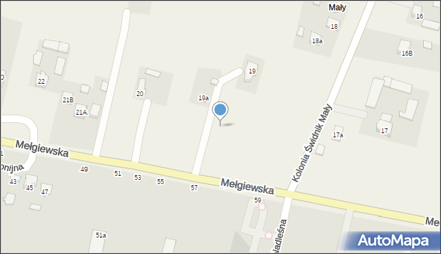 Kolonia Świdnik Mały, Kolonia Świdnik Mały, 19c, mapa Kolonia Świdnik Mały