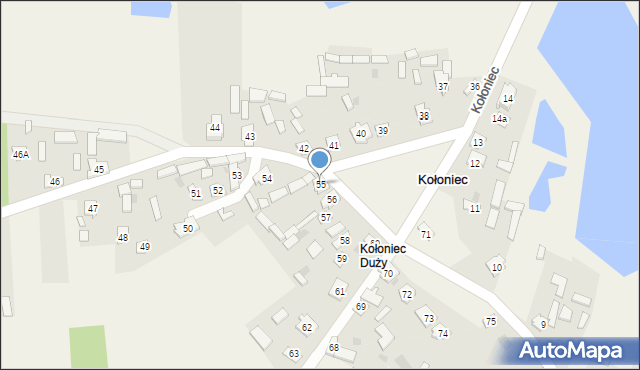 Kołoniec, Kołoniec, 55, mapa Kołoniec