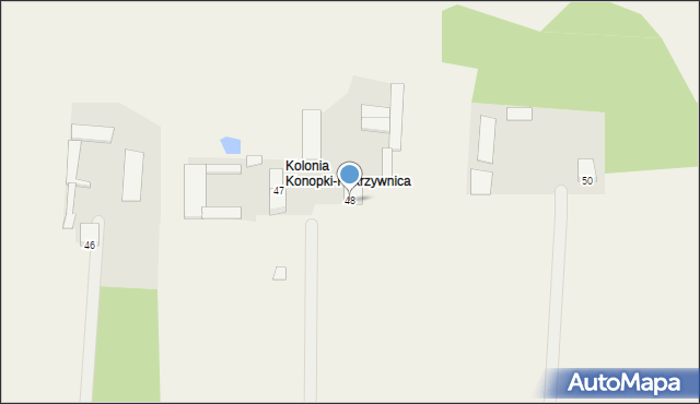 Konopki-Pokrzywnica, Konopki-Pokrzywnica, 48, mapa Konopki-Pokrzywnica