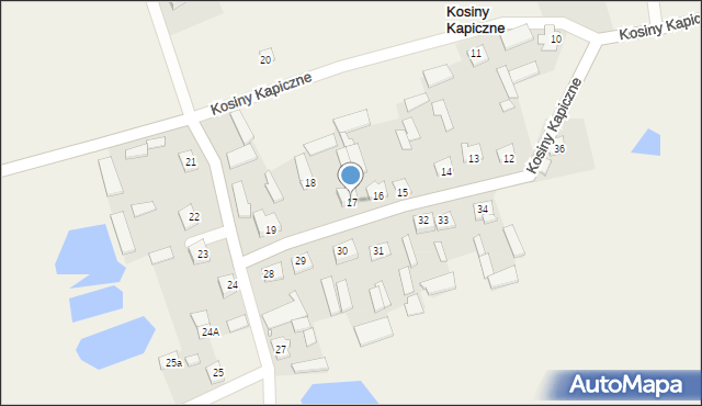 Kosiny Kapiczne, Kosiny Kapiczne, 17, mapa Kosiny Kapiczne