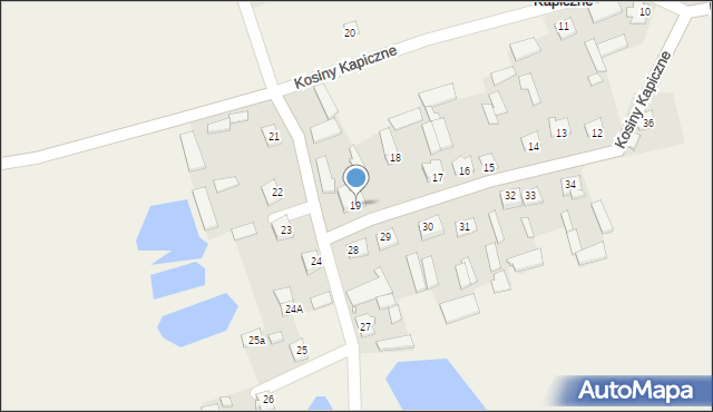 Kosiny Kapiczne, Kosiny Kapiczne, 19, mapa Kosiny Kapiczne
