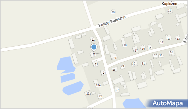 Kosiny Kapiczne, Kosiny Kapiczne, 22, mapa Kosiny Kapiczne