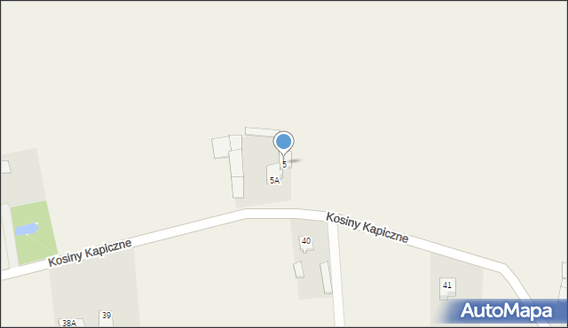 Kosiny Kapiczne, Kosiny Kapiczne, 5, mapa Kosiny Kapiczne