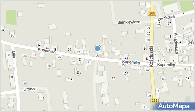 Kowal, Kopernika Mikołaja, 20, mapa Kowal