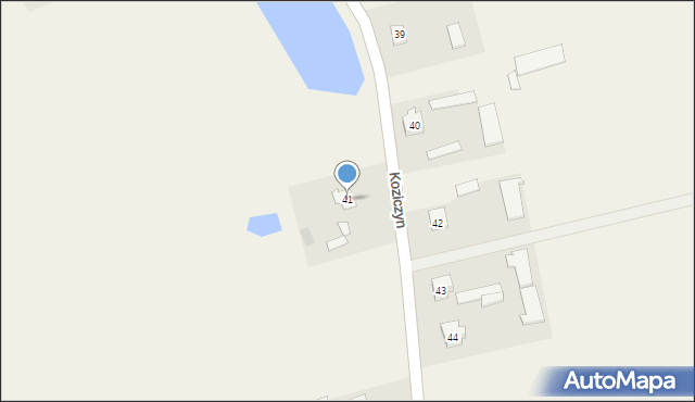 Koziczyn, Koziczyn, 41, mapa Koziczyn