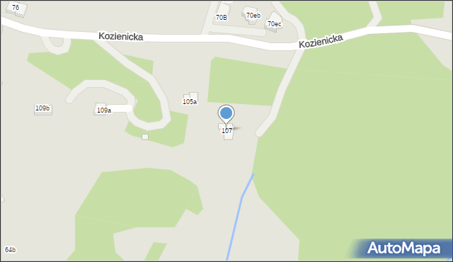 Kraków, Kozienicka, 107, mapa Krakowa