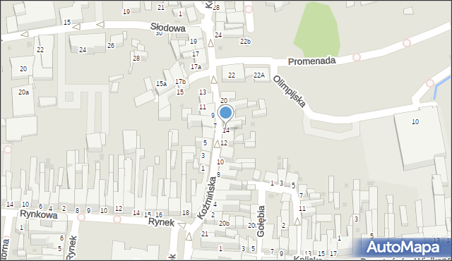 Krotoszyn, Koźmińska, 14, mapa Krotoszyna