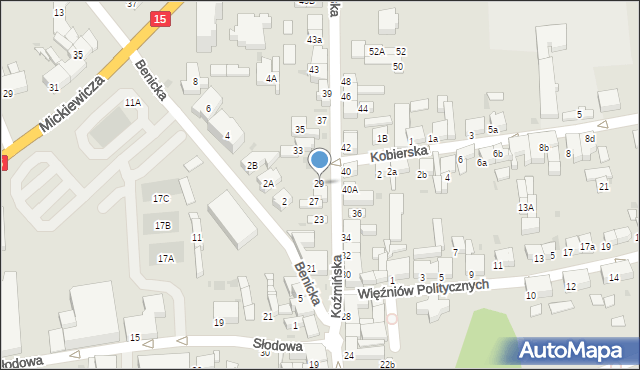 Krotoszyn, Koźmińska, 29, mapa Krotoszyna