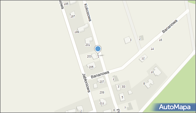 Łapino Kartuskie, Kokosowa, 1, mapa Łapino Kartuskie