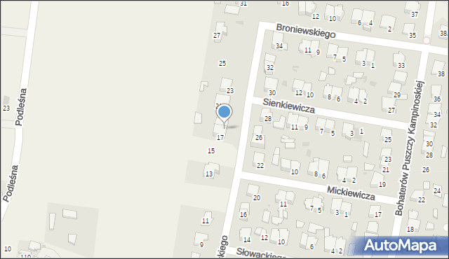 Leszno, Kochanowskiego Jana, 19, mapa Leszno