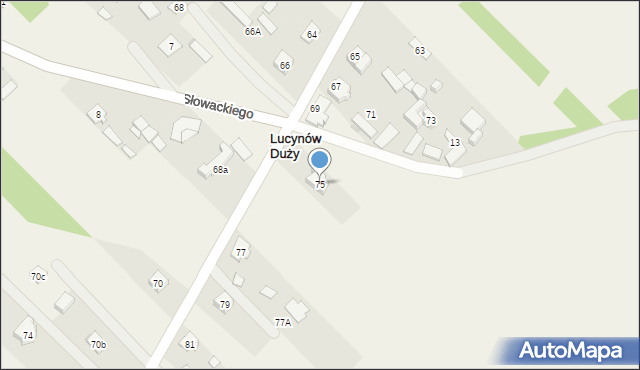 Lucynów Duży, Kochanowskiego Jana, 75, mapa Lucynów Duży