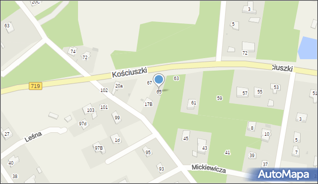 Międzyborów, Kościuszki Tadeusza, gen., 65, mapa Międzyborów