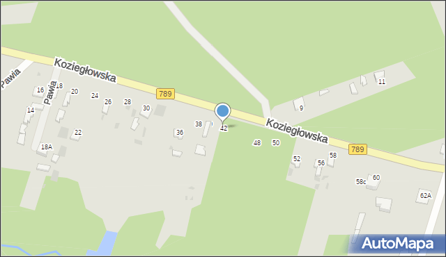 Myszków, Koziegłowska, 42, mapa Myszków