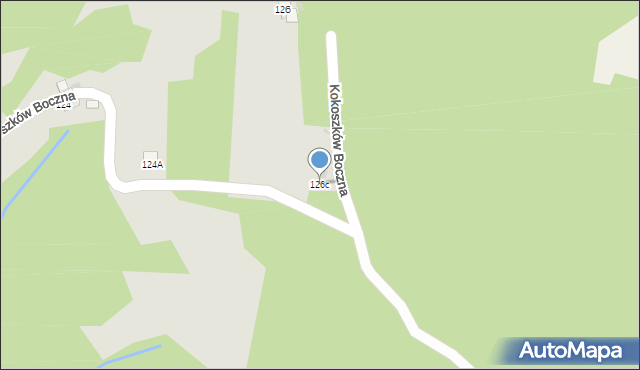 Nowy Targ, Kokoszków Boczna, 126c, mapa Nowego Targu