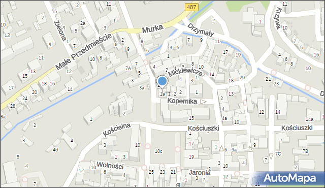 Olesno, Kopernika Mikołaja, 1a, mapa Olesno