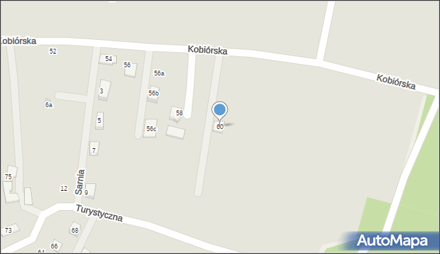 Orzesze, Kobiórska, 60, mapa Orzesze