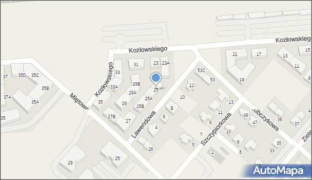 Plewiska, Kozłowskiego Jana, prof., 25, mapa Plewiska