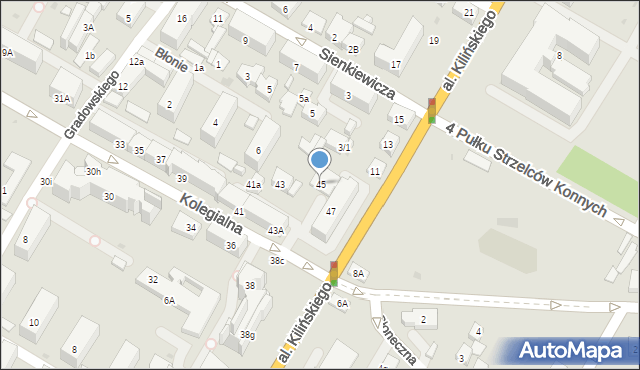 Płock, Kolegialna, 45, mapa Płock