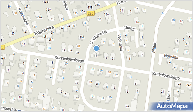 Pruszcz Gdański, Korzeniowskiego Józefa Konrada, 1, mapa Pruszcz Gdański