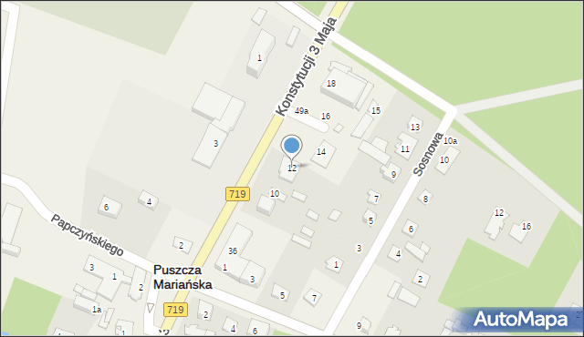 Puszcza Mariańska, Konstytucji 3 Maja, 12, mapa Puszcza Mariańska